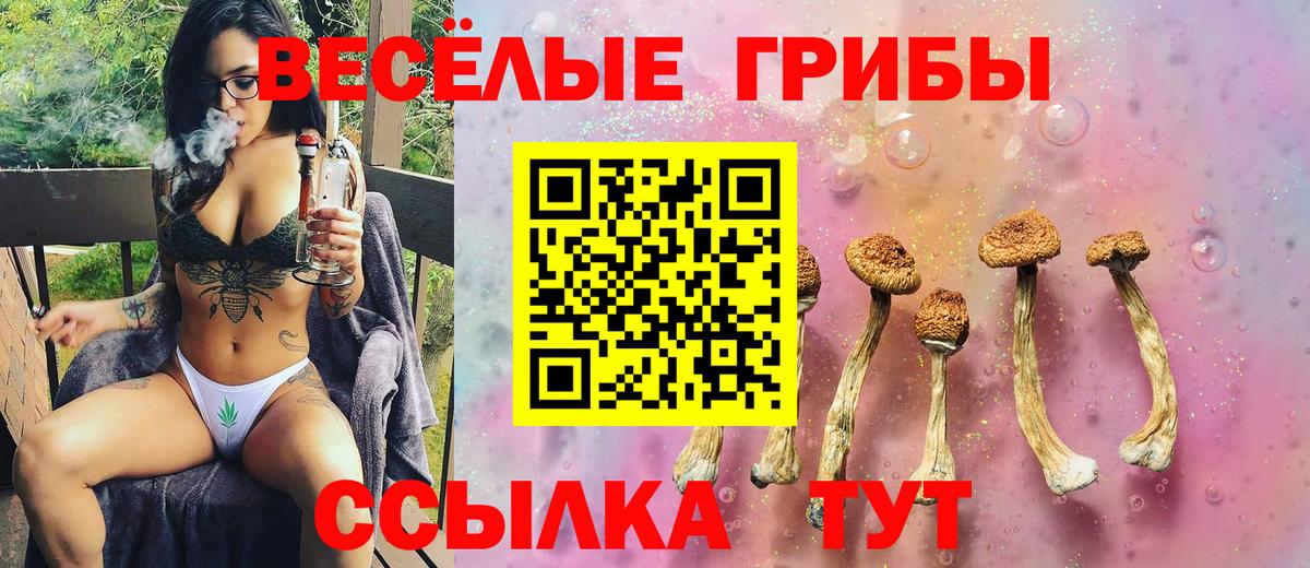 Галлюциногенные грибы GOLDEN TEACHER  Вход с VPN  Псилоцибиновые грибы ЛСД  Ливны 